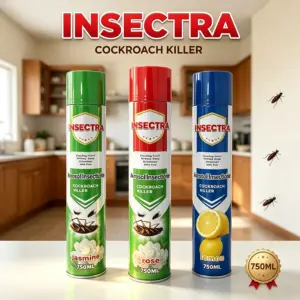 INSECTRA Roach Killer 750ml